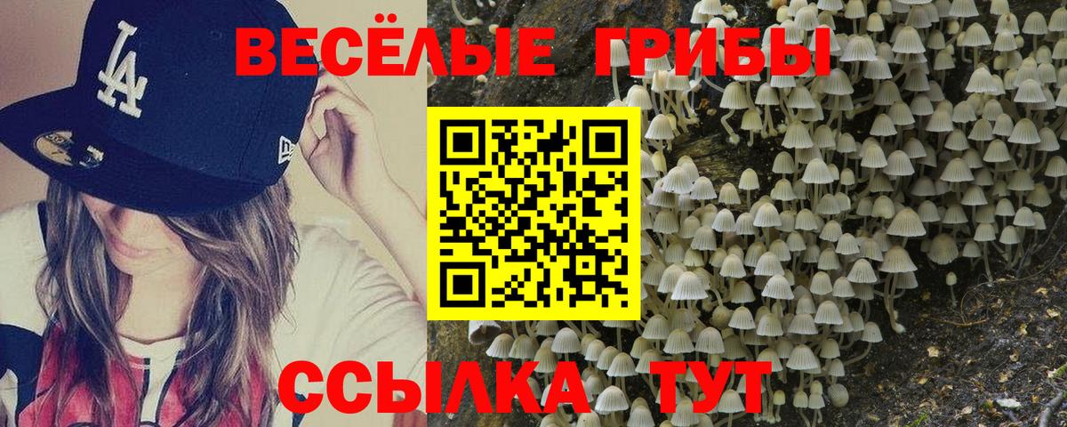Псилоцибиновые грибы GOLDEN TEACHER  Вход с VPN  Галлюциногенные грибы мухоморы  Ишимбай 